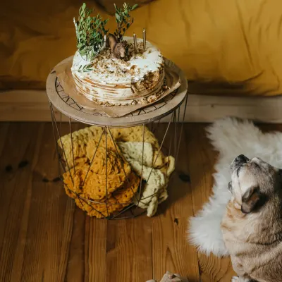 Psí narozeninová oslava dekorace