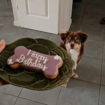 Speciální narozeninový dort kost